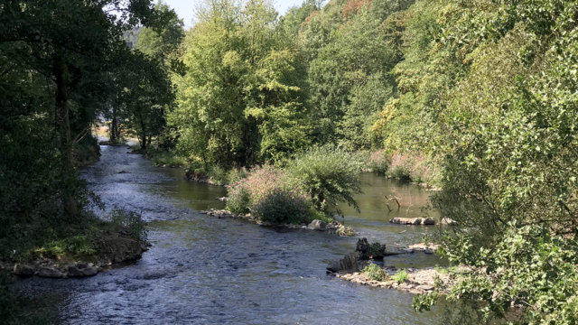 Wupper in Wuppertal-Laaken